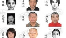 免费吃瓜视频在线看 吃瓜蒙主间谍身份解析 =明星明星公开道歉,明星道歉背后的真相与内幕